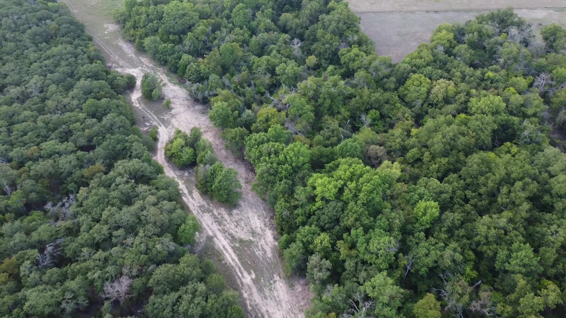 The creek cut from the drone's highest pass