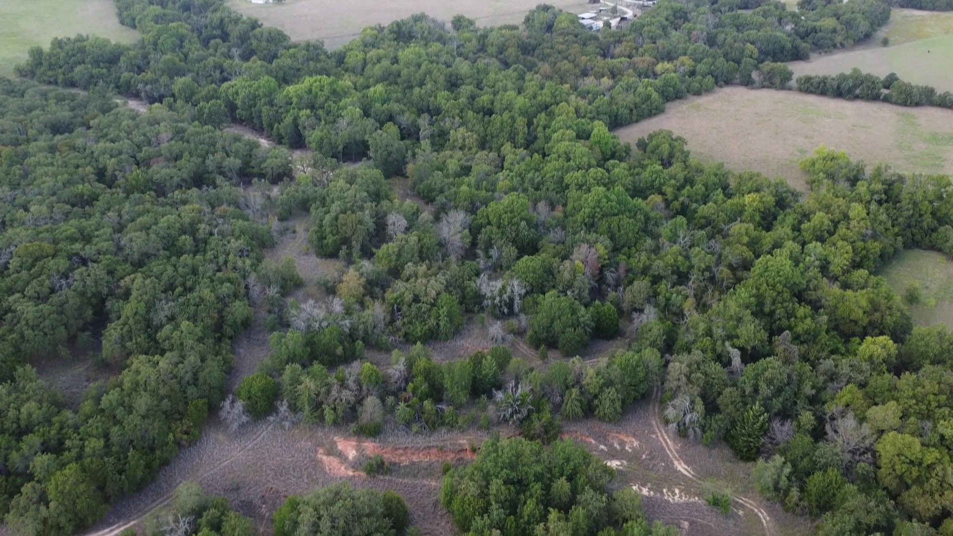 Red-dirt washes cutting through the property