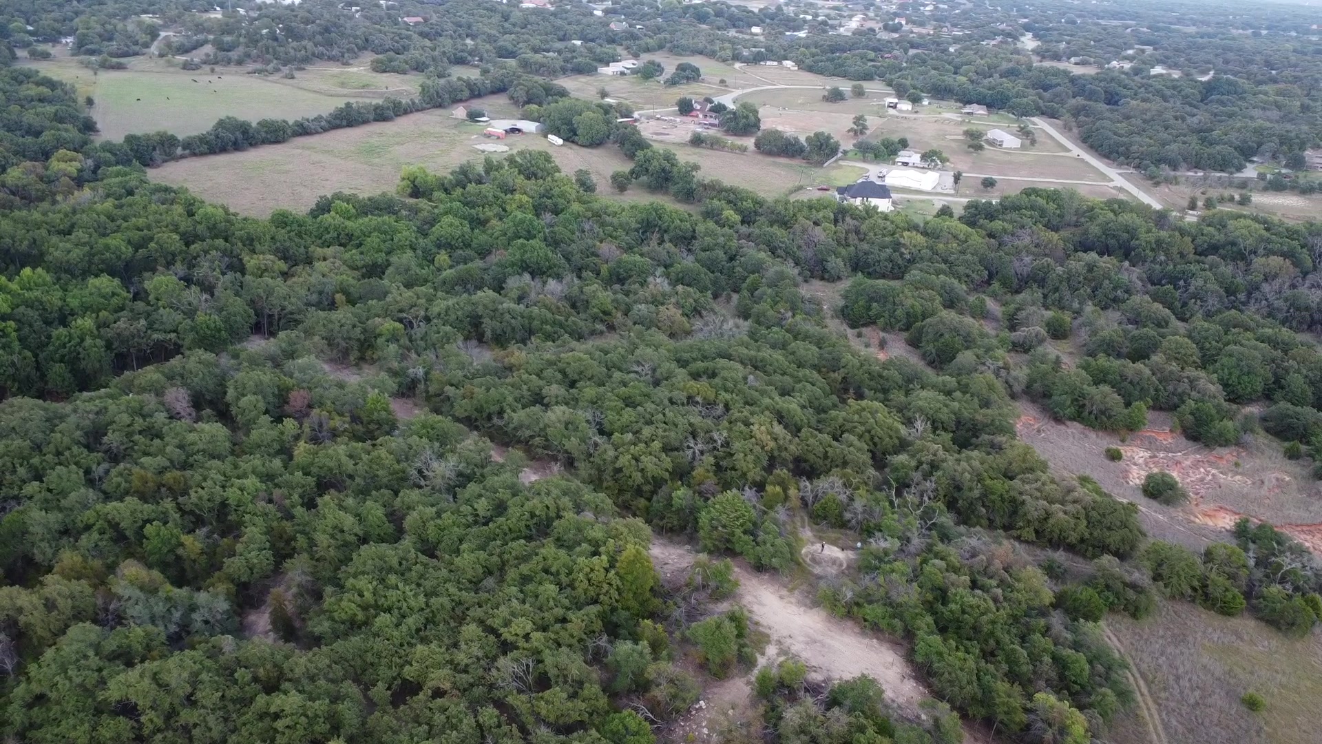 The ridge from 90 meters up — treetops to the horizon