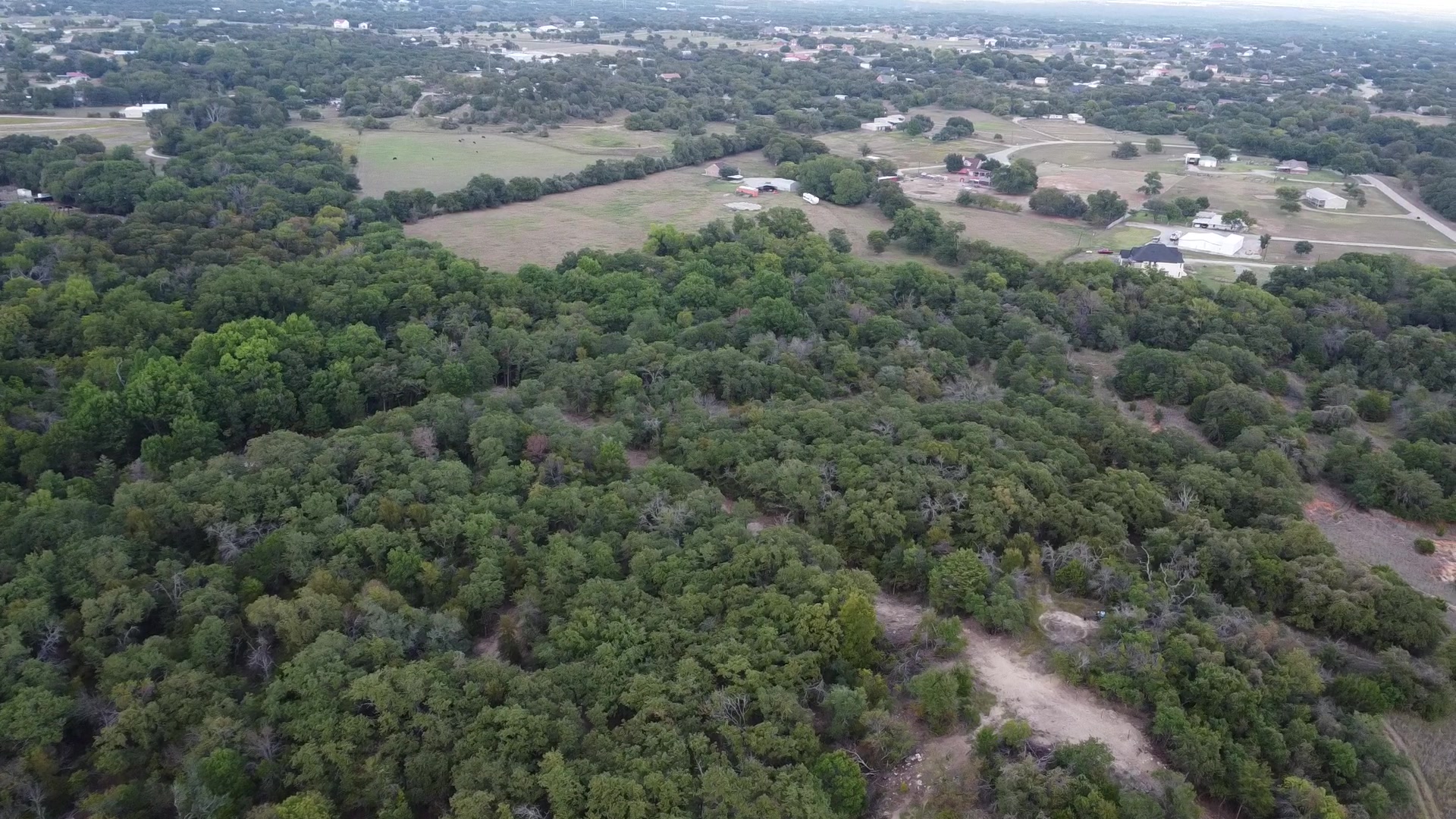The trail network winding through the trees