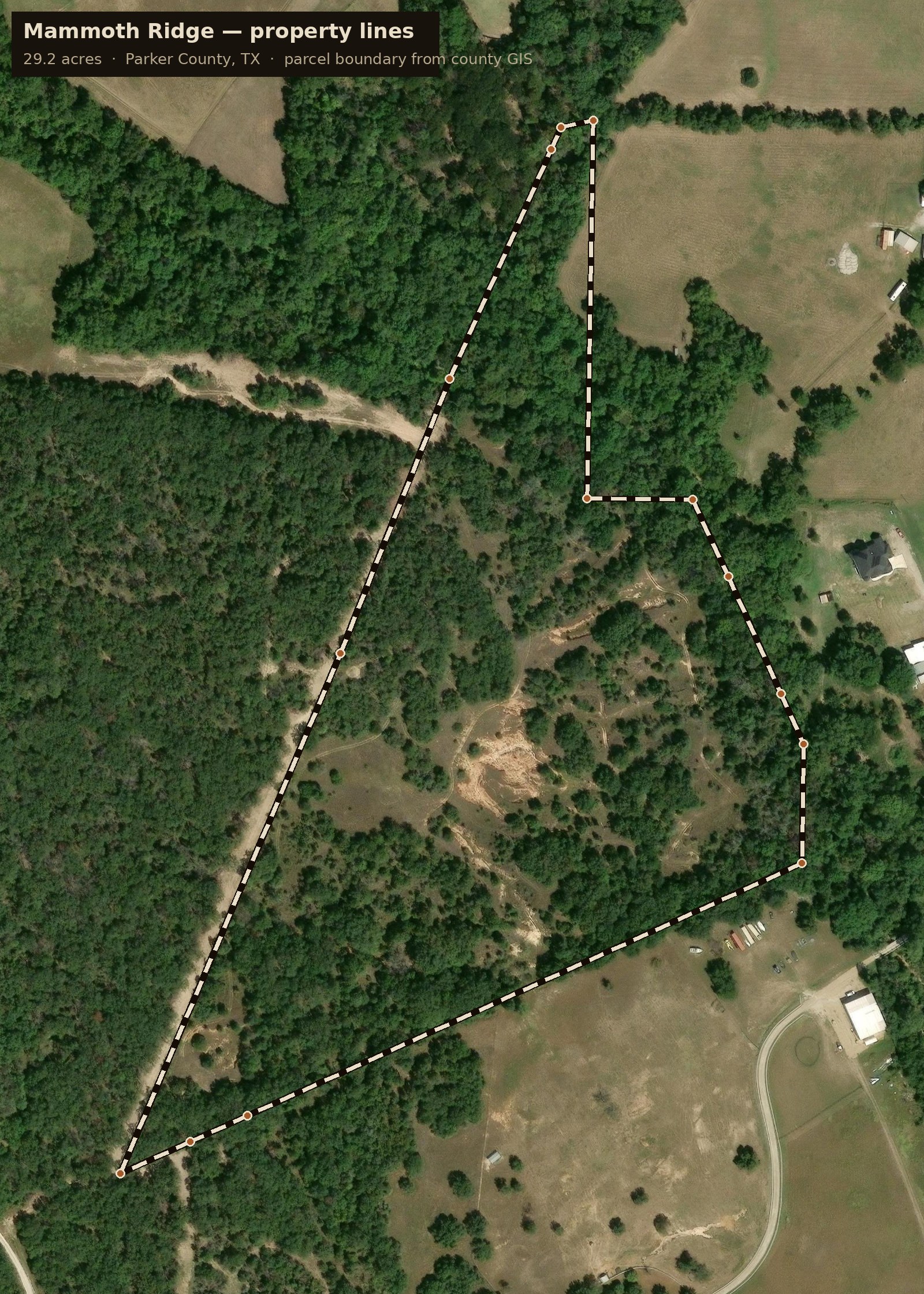 The property lines — 29.2 acres in Parker County, from county GIS